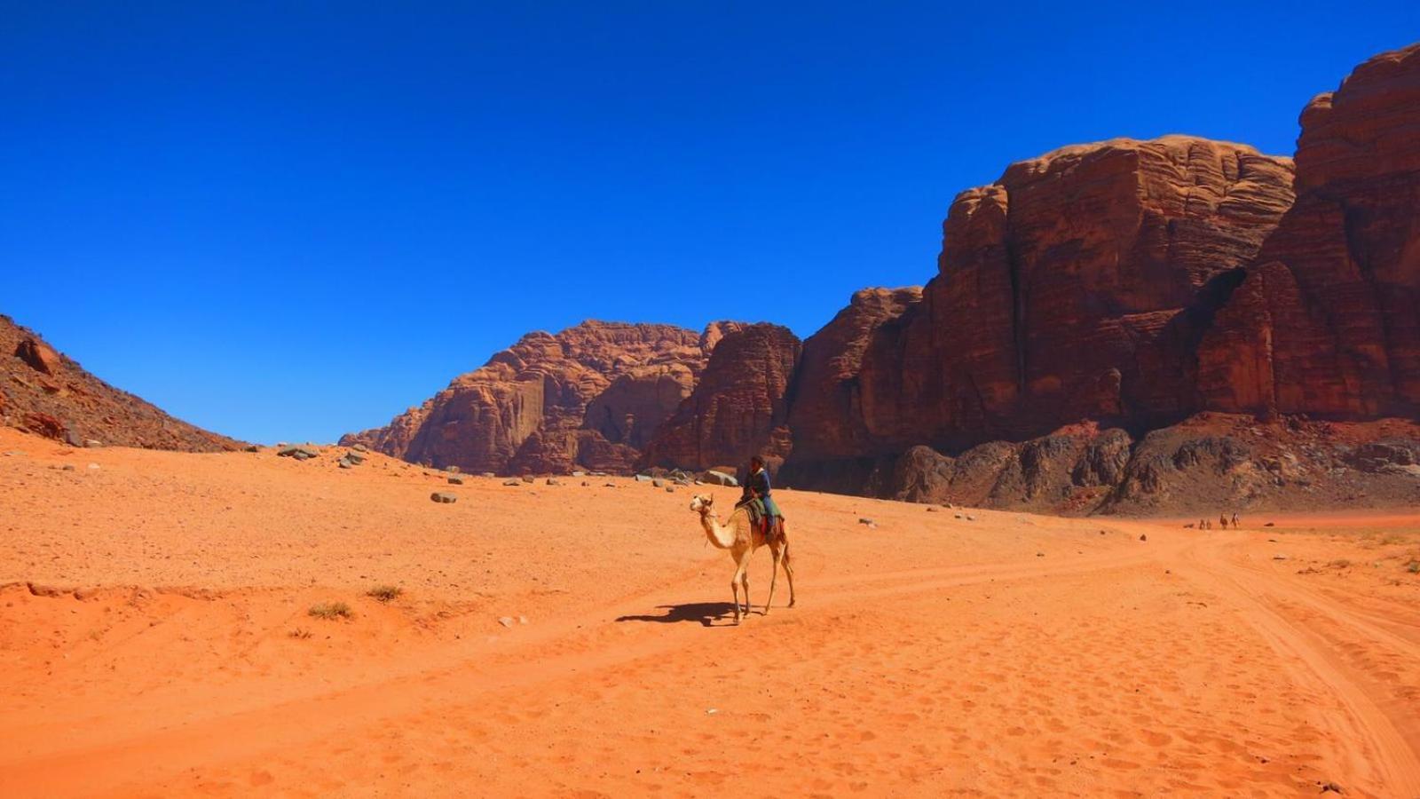 Wadi Rum Nabatean Camp Bagian luar foto