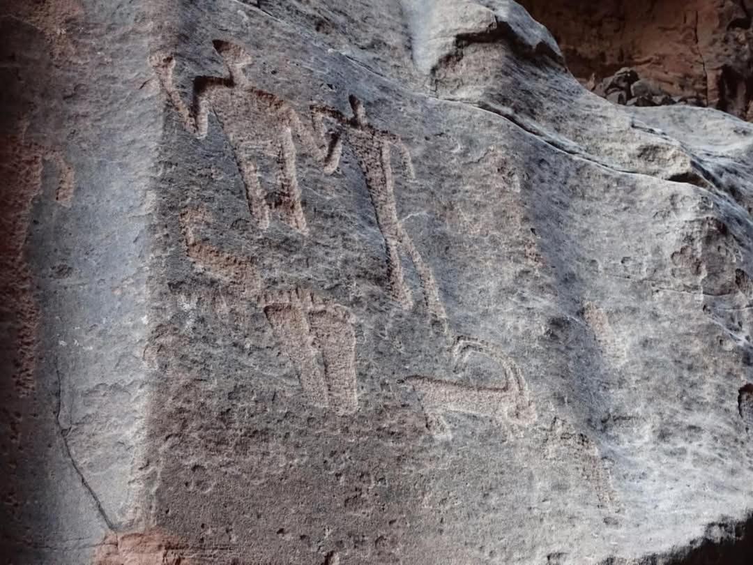 Wadi Rum Nabatean Camp Bagian luar foto
