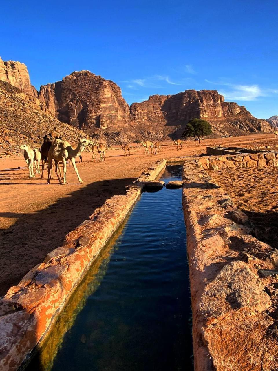 Wadi Rum Nabatean Camp Bagian luar foto